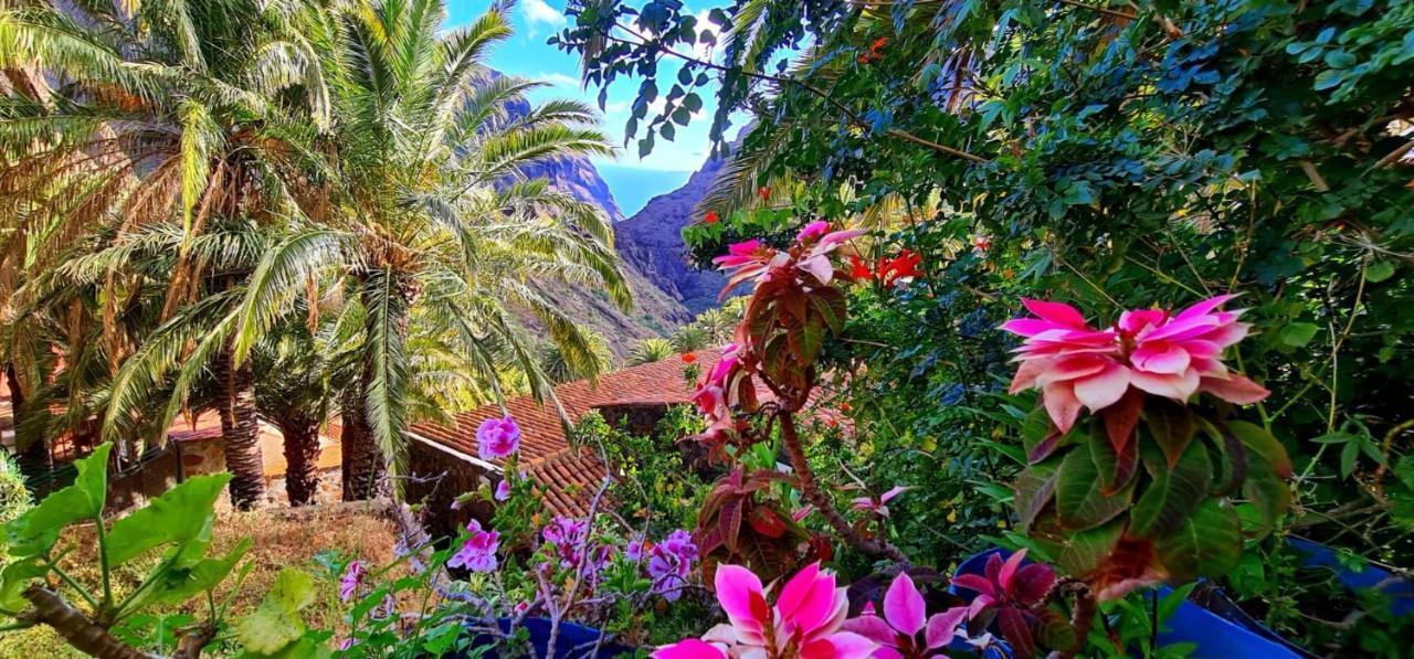 Ocean View Tenerife San Miguel de Abona Exteriör bild
